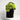 "LOS MUERTOS" customizable padel T-shirt, three-quarter view – Radar Padel